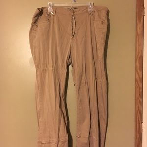 Tan size 24 dress pants